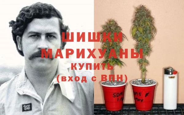 трава Касимов
